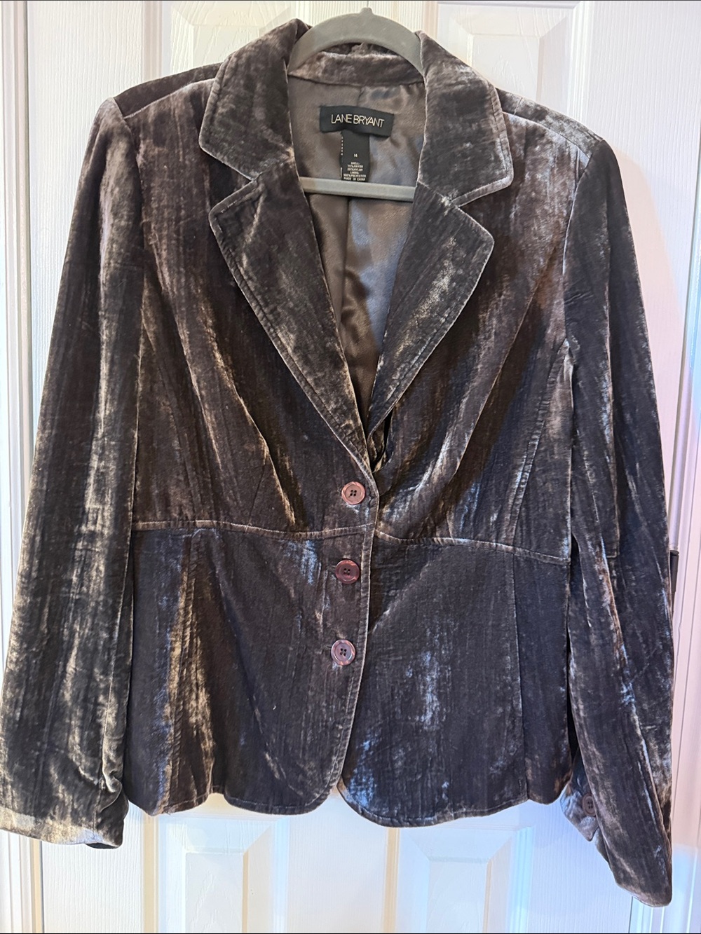 Lane Bryant Silver-Gray Velvet Blazer Jacket
